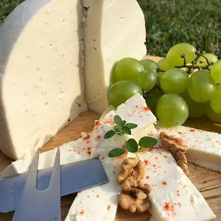 Bio Farma & Zlaty Hyl 4* Novacany