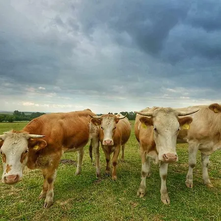 Bio Farma & Zlaty Hyl Konukevi 4*