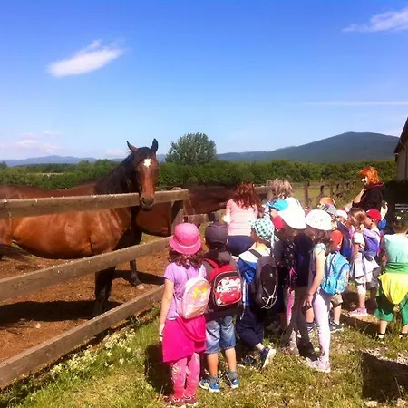 Konukevi Bio Farma & Zlaty Hyl