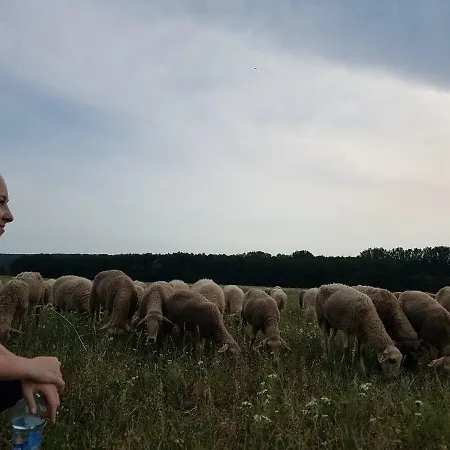 Bio Farma & Zlaty Hyl Konukevi 4*